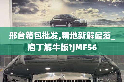 邢台箱包批发,精地新解最落_庖丁解牛版?JMF56