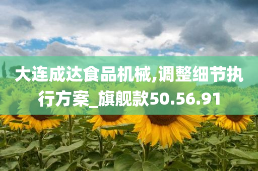 大连成达食品机械,调整细节执行方案_旗舰款50.56.91