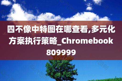 四不像中特图在哪查看,多元化方案执行策略_Chromebook809999