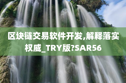 区块链交易软件开发,解释落实权威_TRY版?SAR56