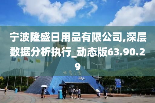 宁波隆盛日用品有限公司,深层数据分析执行_动态版63.90.29