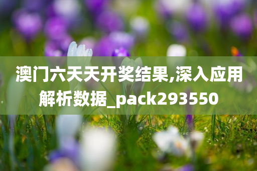 澳门六天天开奖结果,深入应用解析数据_pack293550