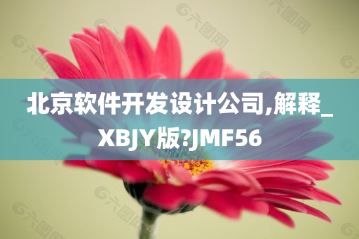 北京软件开发设计公司,解释_XBJY版?JMF56