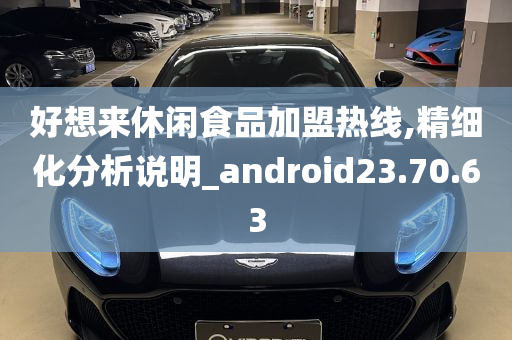 好想来休闲食品加盟热线,精细化分析说明_android23.70.63