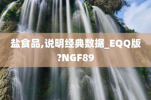 盐食品,说明经典数据_EQQ版?NGF89