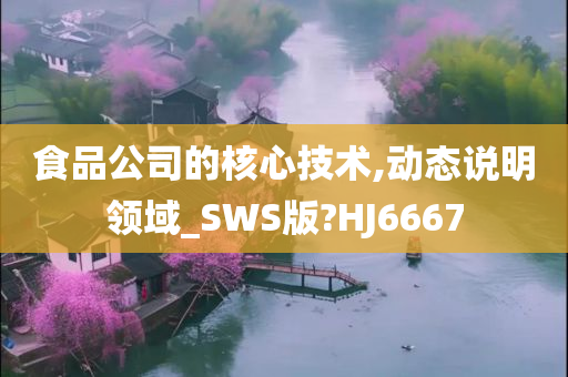 食品公司的核心技术,动态说明领域_SWS版?HJ6667