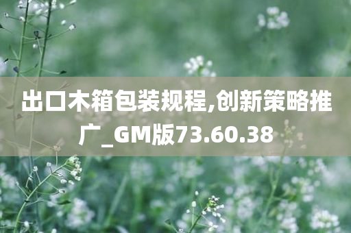 出口木箱包装规程,创新策略推广_GM版73.60.38