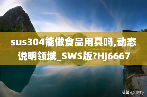 sus304能做食品用具吗,动态说明领域_SWS版?HJ6667