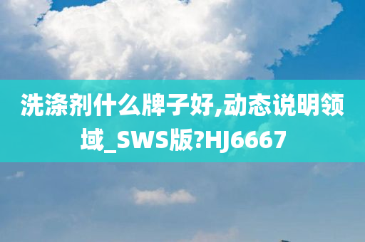 洗涤剂什么牌子好,动态说明领域_SWS版?HJ6667