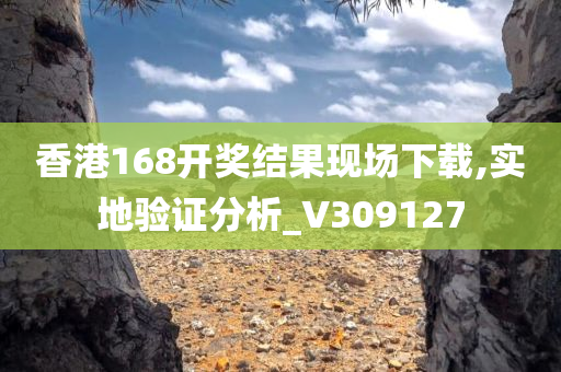 香港168开奖结果现场下载,实地验证分析_V309127