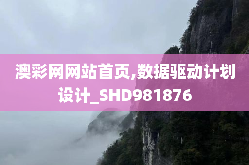 澳彩网网站首页,数据驱动计划设计_SHD981876