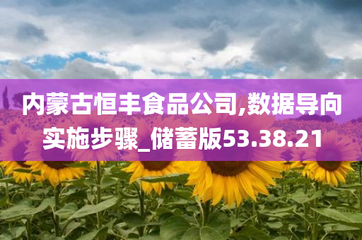 内蒙古恒丰食品公司,数据导向实施步骤_储蓄版53.38.21