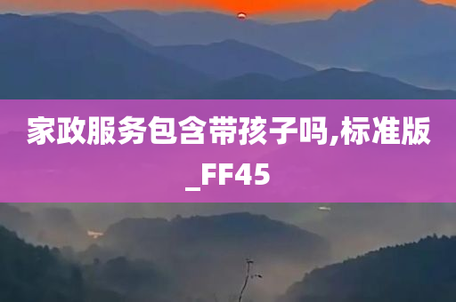 家政服务包含带孩子吗,标准版_FF45