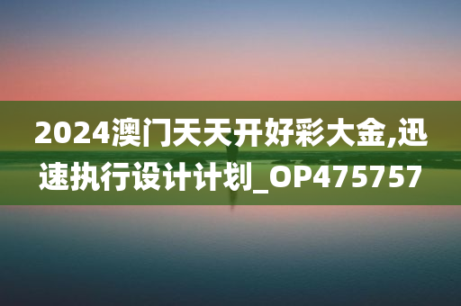 2024澳门天天开好彩大金,迅速执行设计计划_OP475757