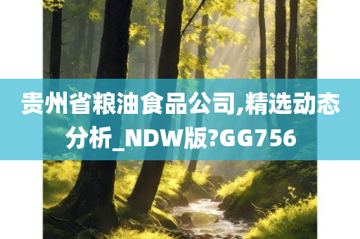 贵州省粮油食品公司,精选动态分析_NDW版?GG756