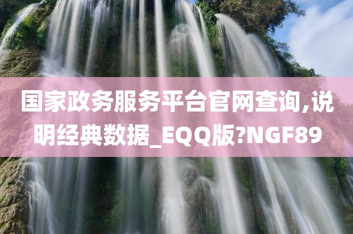 国家政务服务平台官网查询,说明经典数据_EQQ版?NGF89