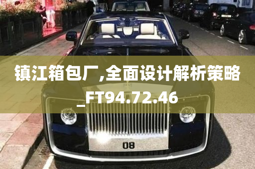 镇江箱包厂,全面设计解析策略_FT94.72.46