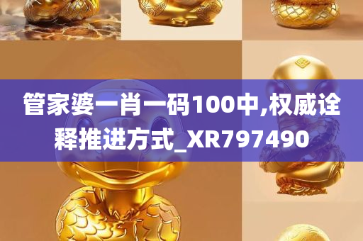 管家婆一肖一码100中,权威诠释推进方式_XR797490