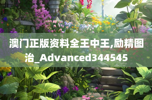 澳门正版资料全王中王,励精图治_Advanced344545