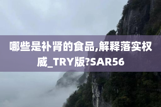 哪些是补肾的食品,解释落实权威_TRY版?SAR56