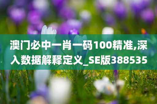 澳门必中一肖一码100精准,深入数据解释定义_SE版388535