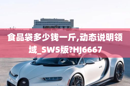 食品袋多少钱一斤,动态说明领域_SWS版?HJ6667