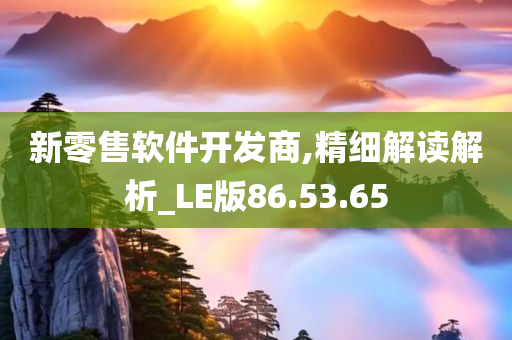 新零售软件开发商,精细解读解析_LE版86.53.65