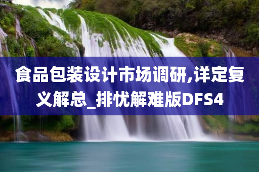 食品包装设计市场调研,详定复义解总_排忧解难版DFS4