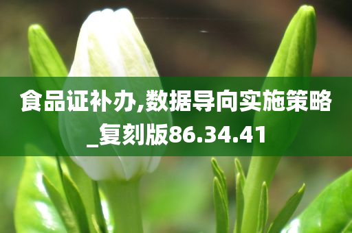 食品证补办,数据导向实施策略_复刻版86.34.41