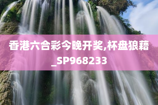 香港六合彩今晚开奖,杯盘狼藉_SP968233