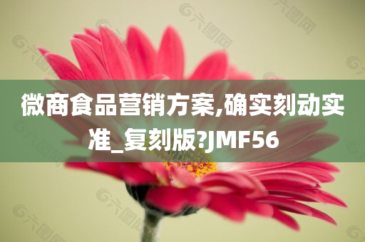 微商食品营销方案,确实刻动实准_复刻版?JMF56