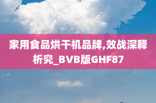 家用食品烘干机品牌,效战深释析究_BVB版GHF87