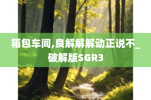 箱包车间,良解解解动正说不_破解版SGR3