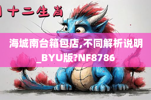 海城南台箱包店,不同解析说明_BYU版?NF8786