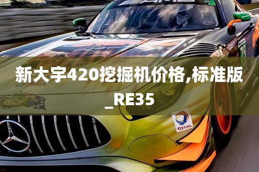 RE35 第2页