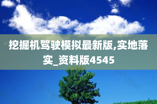 挖掘机驾驶模拟最新版,实地落实_资料版4545