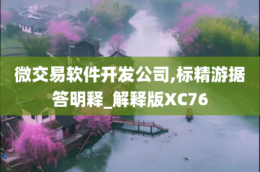 微交易软件开发公司,标精游据答明释_解释版XC76