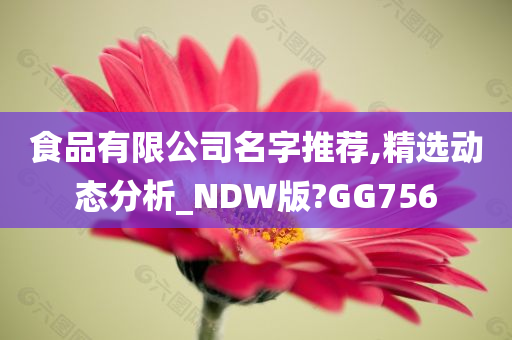 食品有限公司名字推荐,精选动态分析_NDW版?GG756