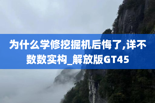 为什么学修挖掘机后悔了,详不数数实构_解放版GT45