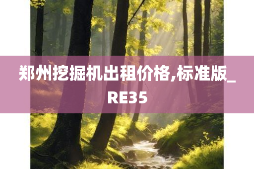 郑州挖掘机出租价格,标准版_RE35