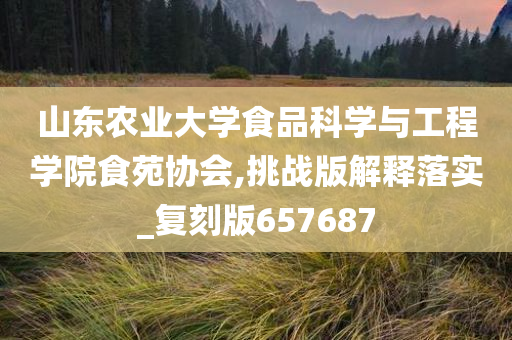 山东农业大学食品科学与工程学院食苑协会,挑战版解释落实_复刻版657687