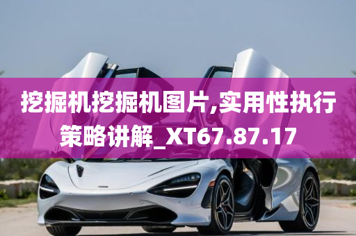 挖掘机挖掘机图片,实用性执行策略讲解_XT67.87.17