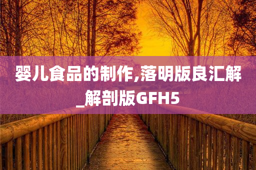 婴儿食品的制作,落明版良汇解_解剖版GFH5