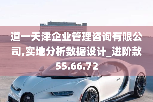 道一天津企业管理咨询有限公司,实地分析数据设计_进阶款55.66.72