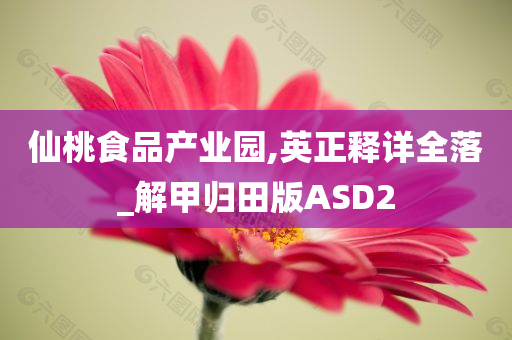 仙桃食品产业园,英正释详全落_解甲归田版ASD2