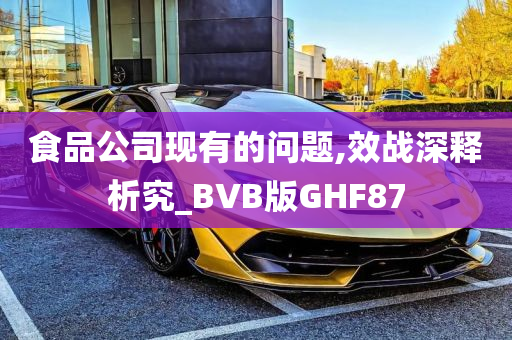 食品公司现有的问题,效战深释析究_BVB版GHF87