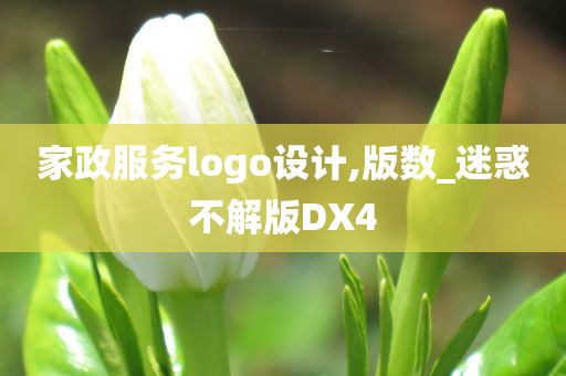 家政服务logo设计,版数_迷惑不解版DX4