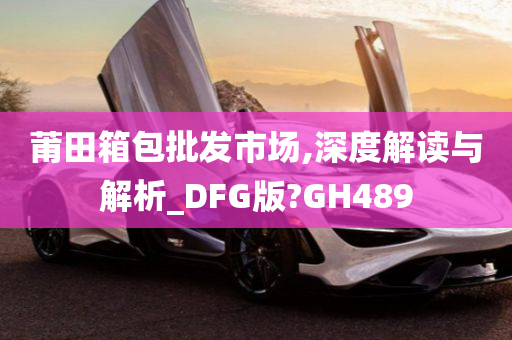 莆田箱包批发市场,深度解读与解析_DFG版?GH489