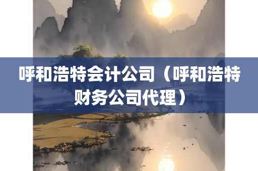 呼和浩特会计公司（呼和浩特财务公司代理）