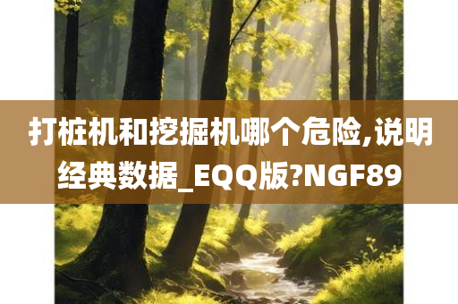 打桩机和挖掘机哪个危险,说明经典数据_EQQ版?NGF89